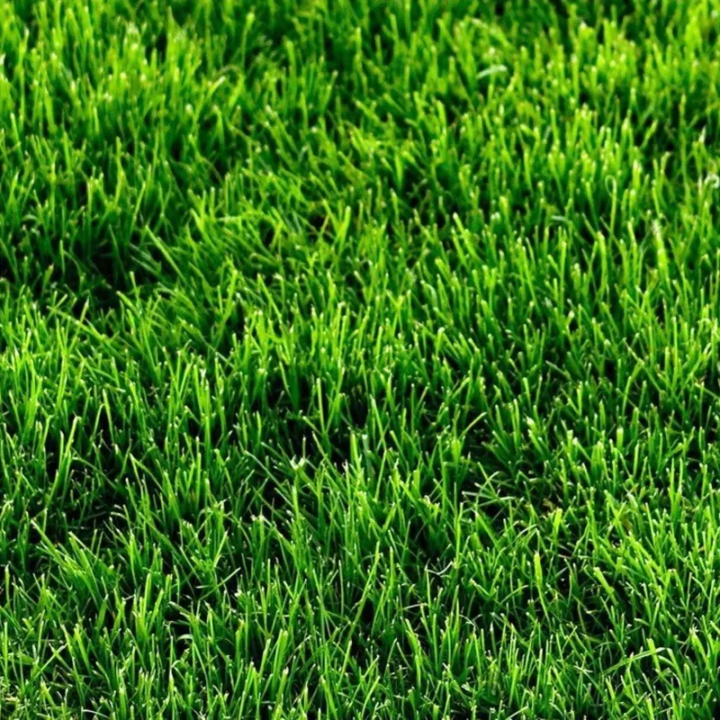Трава искусственная High Grass 35 2м_1