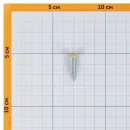 Саморез с прессшайбой шило 4,2х25мм слоновая кость (RAL 1014) Yoko_4