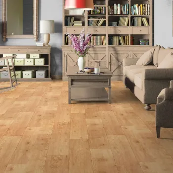 Изображение товара Линолеум бытовой Tarkett Idylle Nova Oxford 2,5 м, гетерогенный, влагостойкий Изображение товара Линолеум бытовой Tarkett Idylle Nova Oxford 2,5 м, гетерогенный, влагостойкий