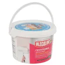Грунтовка акриловая по старой краске Olecolor 3кг_2