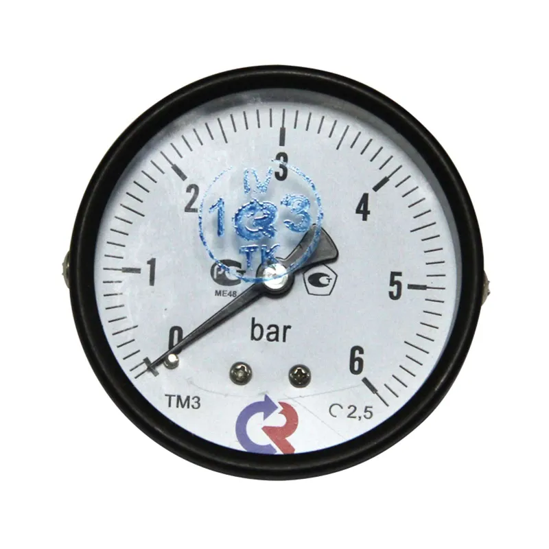 Манометр аксиальный 6 бар 1/4" ТМ-310Т Росма_1