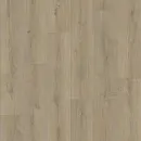 Линолеум бытовой Praktika Bruno 1 2,5 м_1