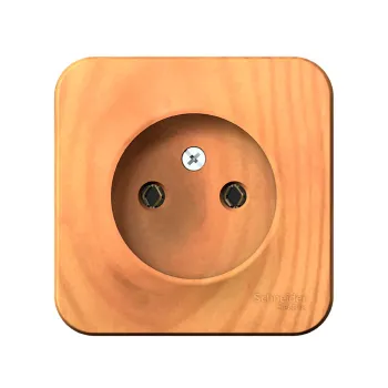 Изображение товара Розетка 1-местная накладная Systeme Electric Blanca, ясень Изображение товара Розетка 1-местная накладная Systeme Electric Blanca, ясень