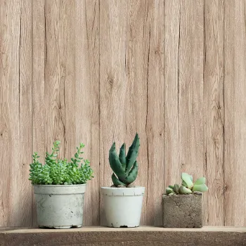 Изображение товара Панель стеновая МДФ Stella Дуб Санремо бежевый 2700х200х6 мм Изображение товара Панель стеновая МДФ Stella Дуб Санремо бежевый 2700х200х6 мм