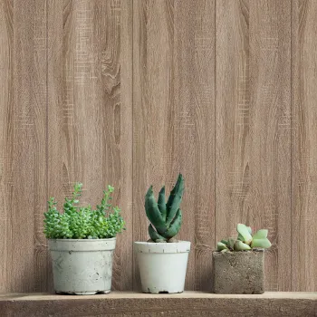 Изображение товара Панель стеновая МДФ Stella Дуб Винтаж 2700х200х6 мм экологичная декоративная отделка Изображение товара Панель стеновая МДФ Stella Дуб Винтаж 2700х200х6 мм экологичная декоративная отделка