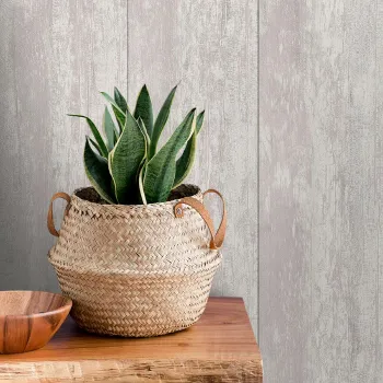 Изображение товара Стенные панели МДФ Stella Ледяное дерево 2700х200х6 мм для интерьера Изображение товара Стенные панели МДФ Stella Ледяное дерево 2700х200х6 мм для интерьера