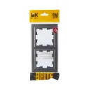 Рамка двухместная Brite сталь IP20 IEK_4