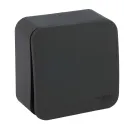 Выключатель одноклавишный накладной Blanca антрацит IP20 Systeme Electric_1