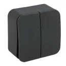 Выключатель двухклавишный накладной Blanca антрацит IP20 Systeme Electric_1