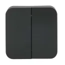 Выключатель двухклавишный накладной Blanca антрацит IP20 Systeme Electric_2