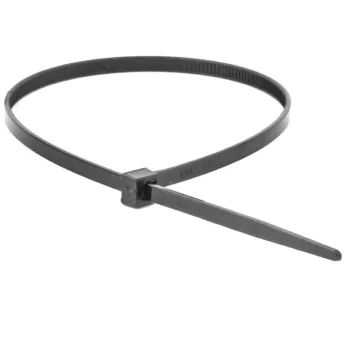 Изображение товара Хомут-стяжка нейлоновый черный 3,6x300 мм 100 шт DKC Изображение товара Хомут-стяжка нейлоновый черный 3,6x300 мм 100 шт DKC