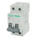 Выключатель автоматический двухполюсный C 50А 4,5кА City9 Systeme Electric_1
