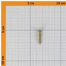 Саморез для аквапанелей SN 4,2х25мм желтый цинк Knauf_4