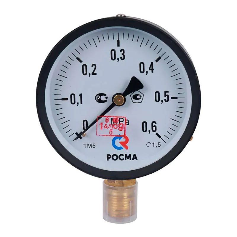 Манометр радиальный 6 бар (кгс/см2), d=100мм, G1/2", ТМ-510Р, РОСМА_1