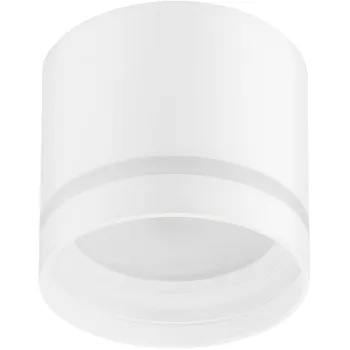 Изображение товара Светильник накладной ЭРА OL9 WH/WH GX53 цилиндр белый Изображение товара Светильник накладной ЭРА OL9 WH/WH GX53 цилиндр белый