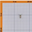 Саморез универсальный 3х12мм желтый цинк_4
