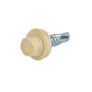Саморез кровельный 5,5х25мм слоновая кость (RAL 1014) 250шт Daxmer_1