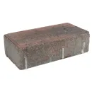 Брусчатка кирпичик 200x100x60мм осень_1