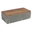 Брусчатка кирпичик 200x100x60мм листопад_1