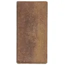 Брусчатка кирпичик 200x100x60мм листопад_3
