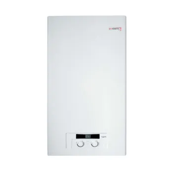 Котел газовый настенный Protherm Рысь Lynx HK 24, 23,5 кВт