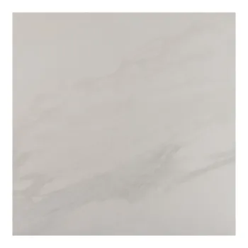 Керамогранит Гранитея Payer Elegant G281PR 600х600 мм белый
