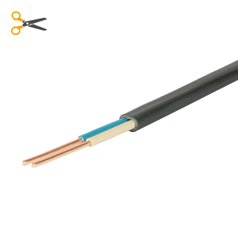 Кабель ВВГпнг LS 2х2,5 ГОСТ 100м на отрез Промэко_1
