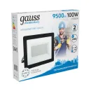 Прожектор светодиодный уличный 100Вт 6500К IP65 холодный белый свет Gauss_2