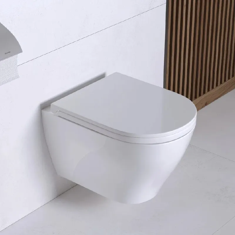 Унитаз подвесной Sanita Luxe Breeze безободковый с сиденьем дюропласт микролифт_1